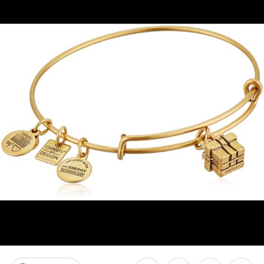 Alex and Ani present charm bracelet
